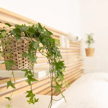 Apartmán Val Favara - Gemelli